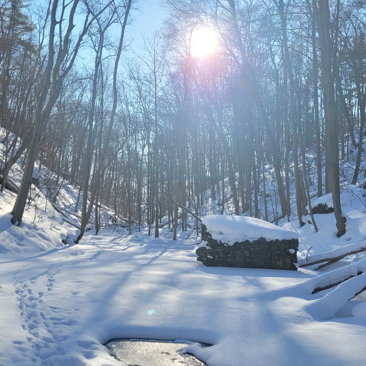 Thirsty Thursday | Snowy&nbsp;River