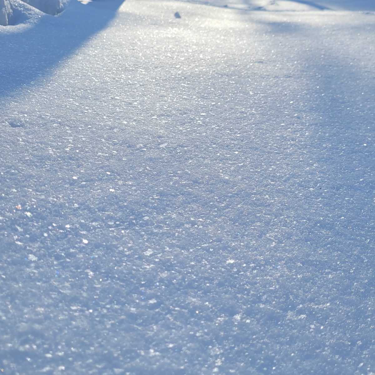 Wishfulfilling Jewel