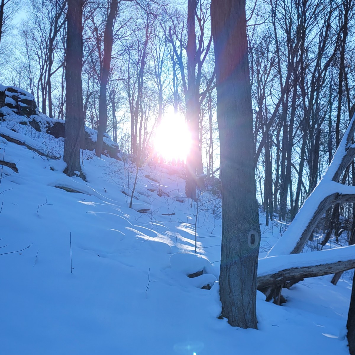 Inner Monologue | FF&nbsp;23