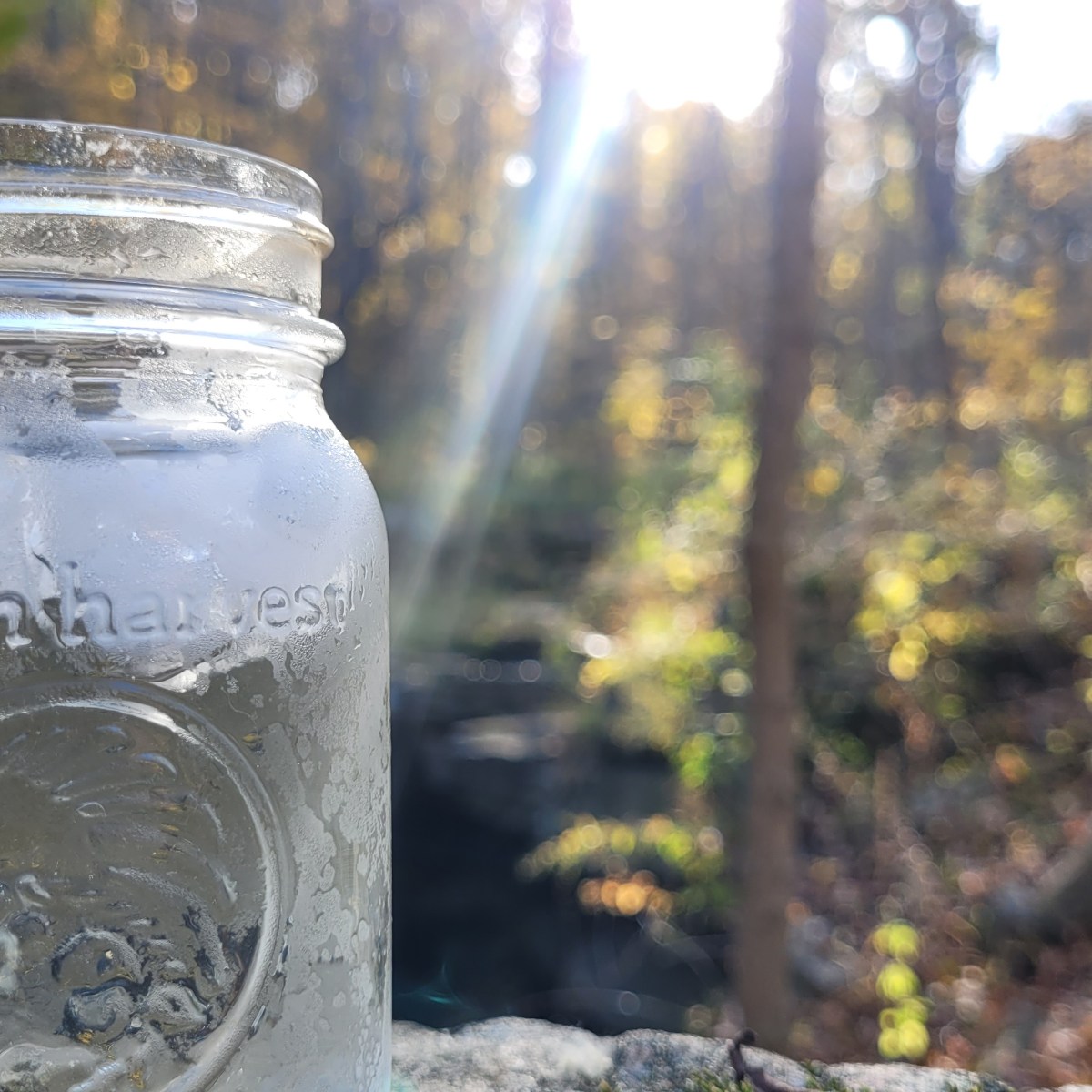 mason jar