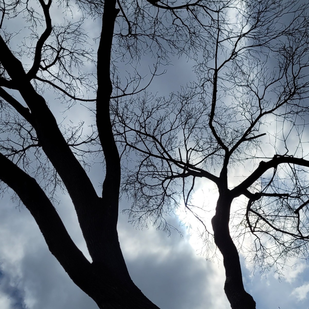 bad habits (die&nbsp;hard)