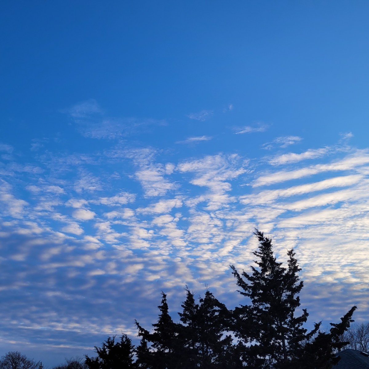 stuck in a strange&nbsp;dream